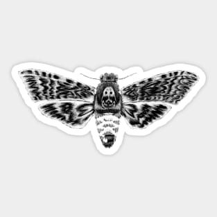 Deaths Head Moth Sticker